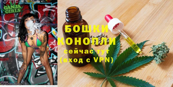 PSILOCYBIN Кинешма