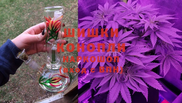 PSILOCYBIN Кинешма