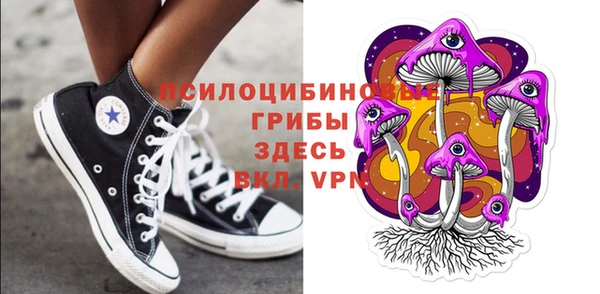 ПСИЛОЦИБИНОВЫЕ ГРИБЫ Козельск