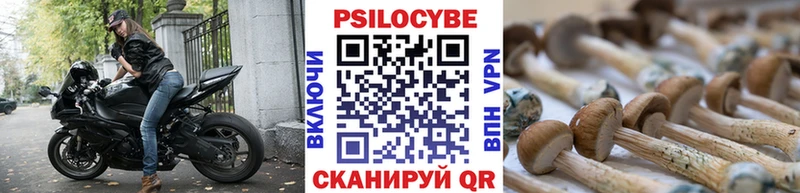 купить  сайты  Афипский  МЕГА ONION  Галлюциногенные грибы мицелий 